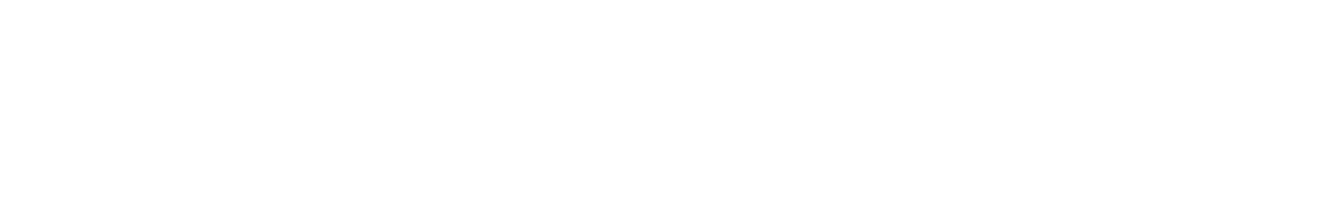 ApoSuite logo white