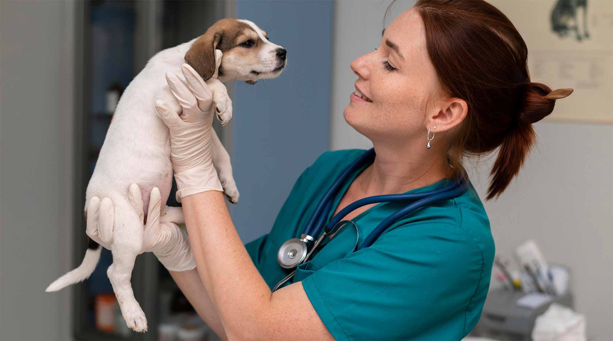 Veterinär djurvårdare håller upp hundvalp