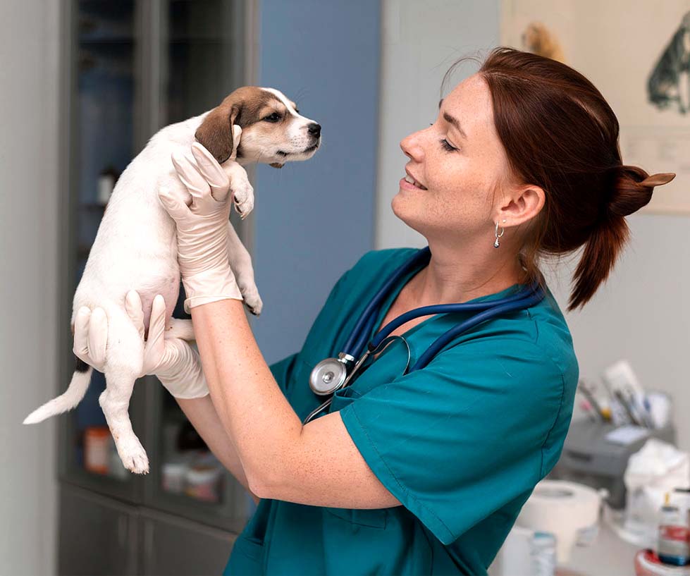 Veterinär djurvårdare håller hundvalp på klinik